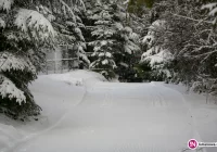 Ruszyła trasa biegowa wokół Mogielicy - zdjęcie główne