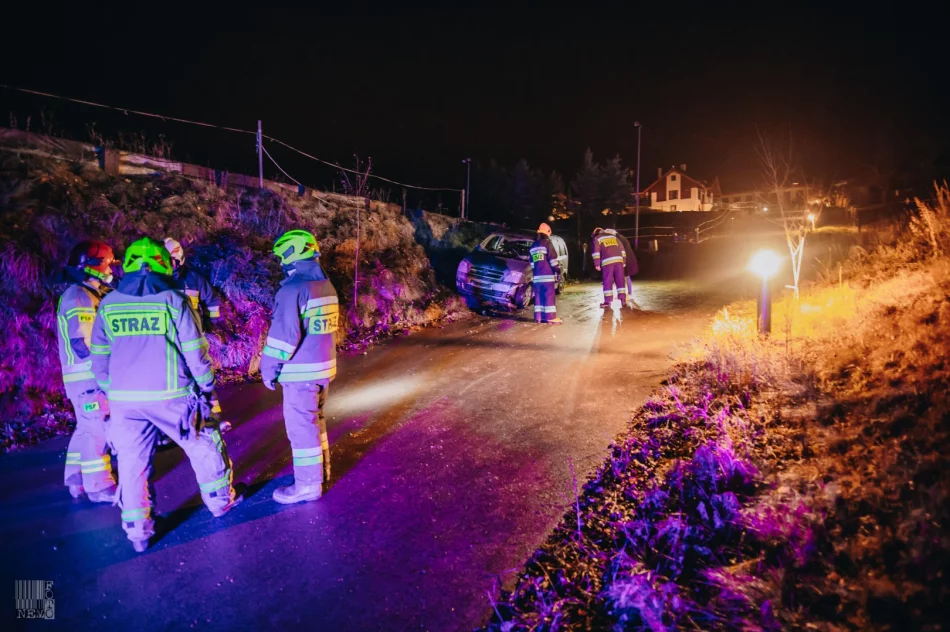Samochód wywrócił się na drodze. Pogotowie udzieliło pomocy 2 osobom - zdjęcie 2