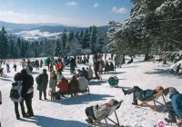 Krynica ma coś dla każdego - zdjęcie główne