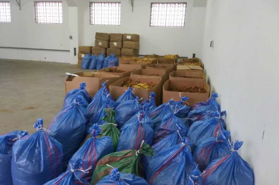 Zatrzymali szefa zorganizowanej grupy przestępczej i jego współpracowników - zdjęcie 2