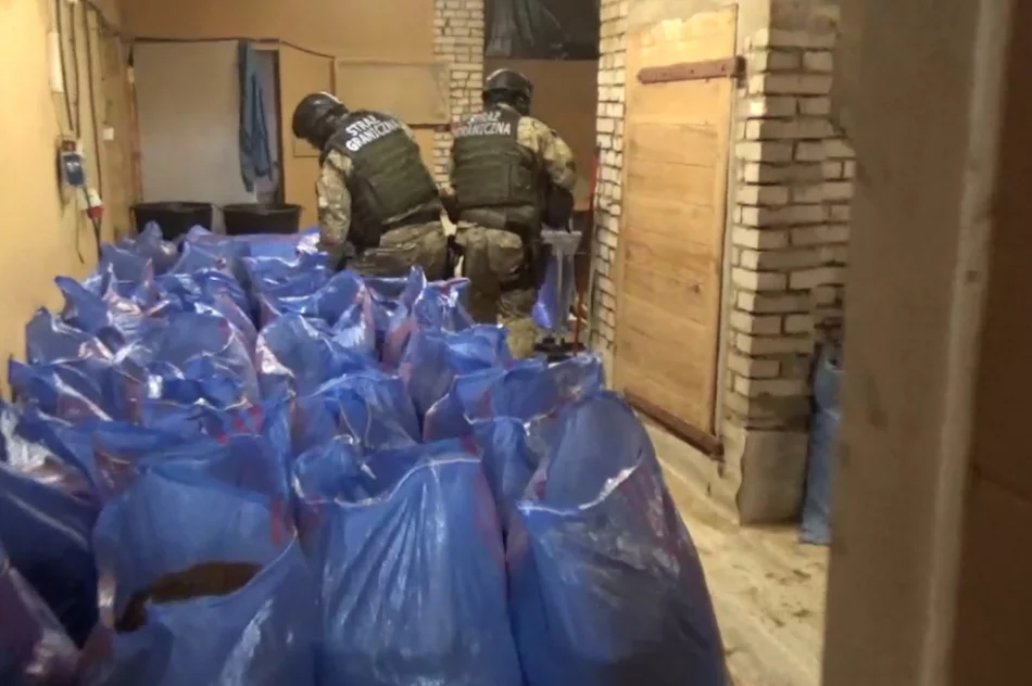 Zatrzymali szefa zorganizowanej grupy przestępczej i jego współpracowników - zdjęcie 5