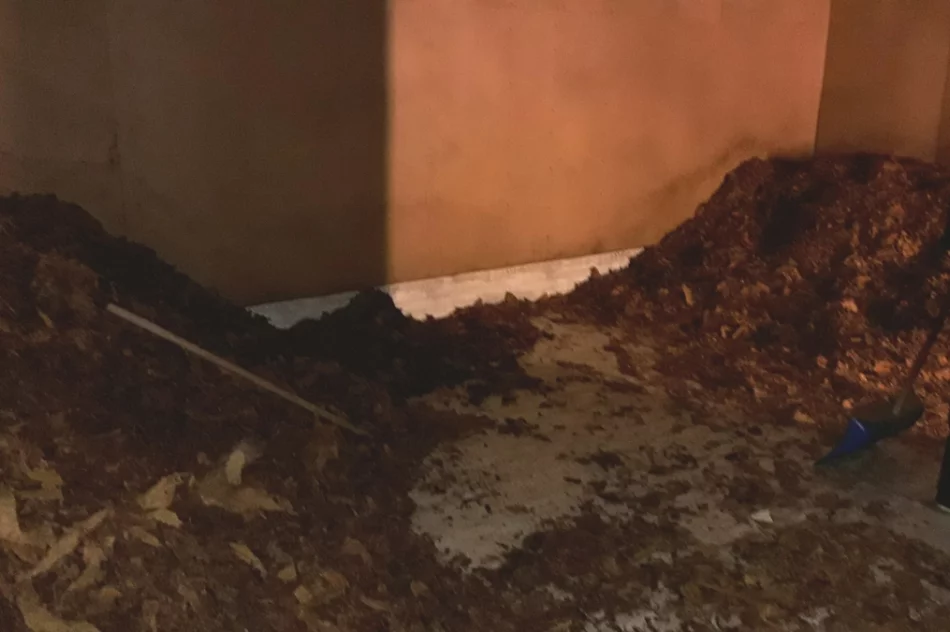 Zatrzymali szefa zorganizowanej grupy przestępczej i jego współpracowników - zdjęcie 6