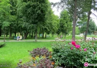 Samorząd przystąpi do poszerzenia parku - zdjęcie główne