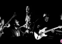 ŚLĄSKA GRUPA BLUESOWA I PRZYJACIELE - Folwark Stara Winiarnia zaprasza! - zdjęcie główne