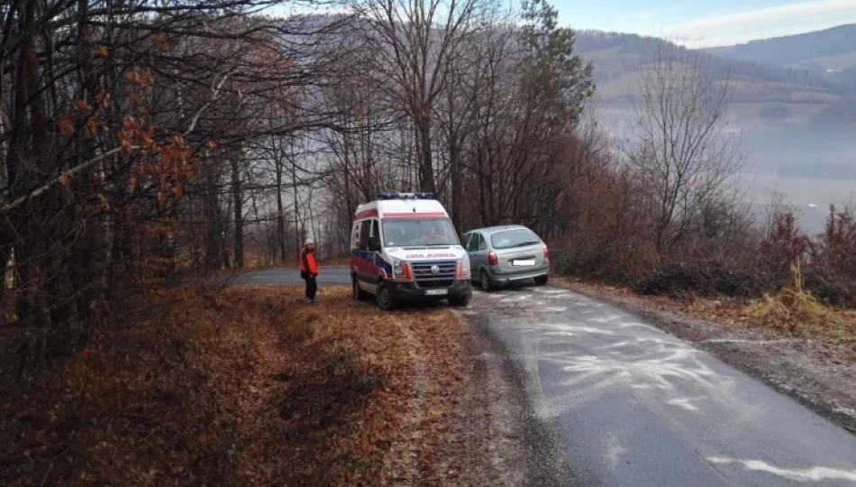 Karetka utknęła na oblodzonej drodze. Z pomocą przyszli strażacy - zdjęcie 1