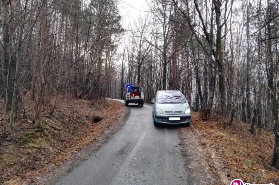 Karetka utknęła na oblodzonej drodze. Z pomocą przyszli strażacy - zdjęcie 2