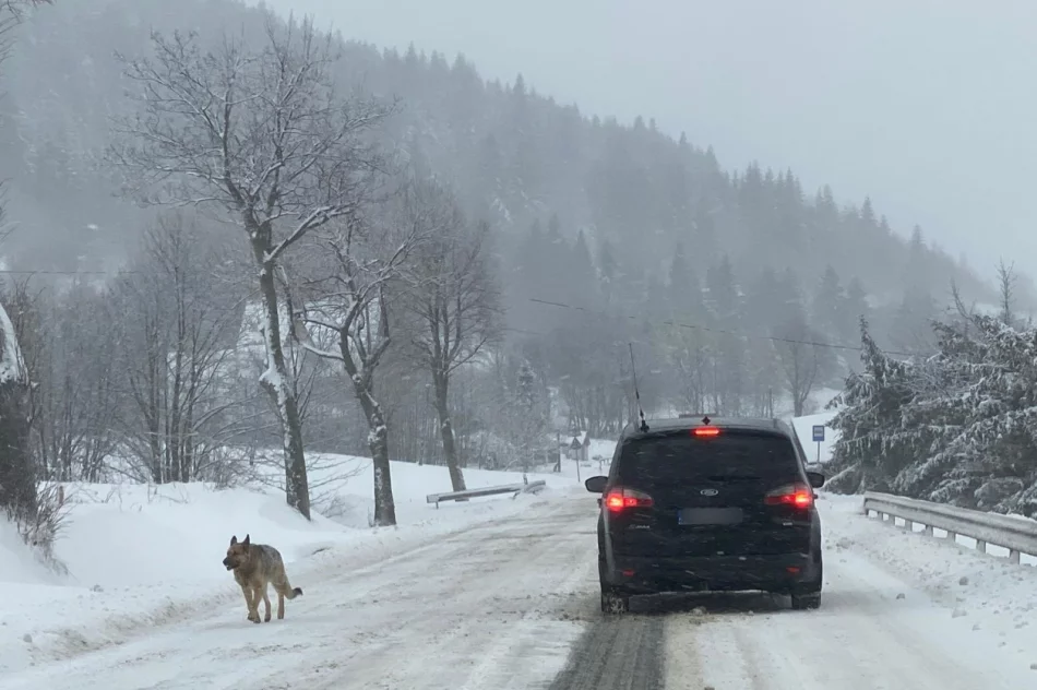 Kolejny dzień trudnych warunków drogowych - zdjęcie 5