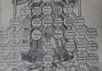 „A łąki stały się miastem…”. Magdeburskie porządki w świecie chaosu - zdjęcie główne