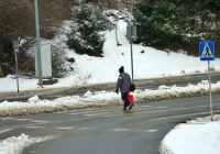 Trwają wzmożone policyjne działania - zdjęcie główne