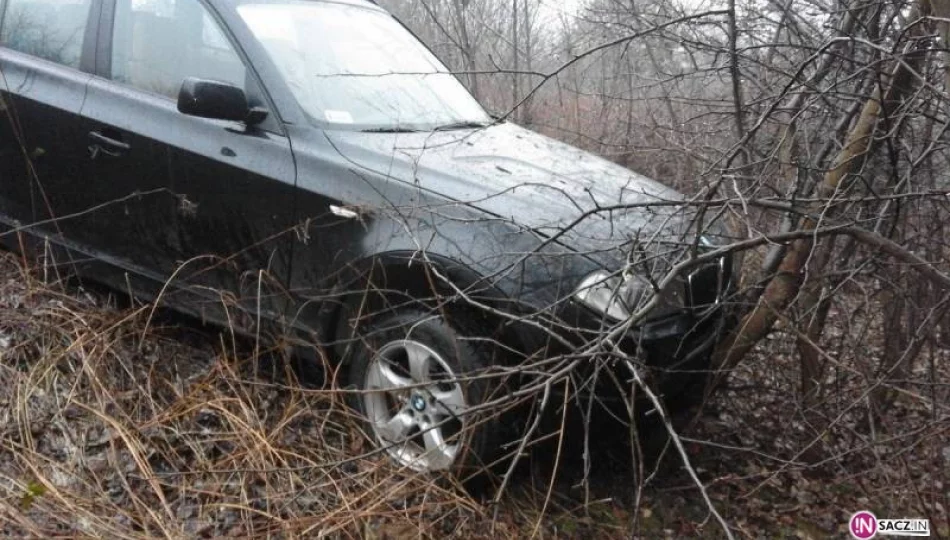 Piątkowa – samochód osobowy wypadł z drogi - zdjęcie 1