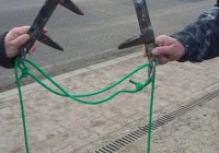 Kłusownicy zagrożeniem dla ludzi. Ucierpiały już dwie osoby - zdjęcie główne