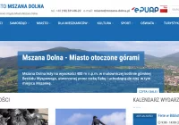 Krytyczne uwagi do internetowej witryny samorządu - zdjęcie główne