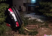 BMW zatrzymało się na drzewach - zdjęcie główne