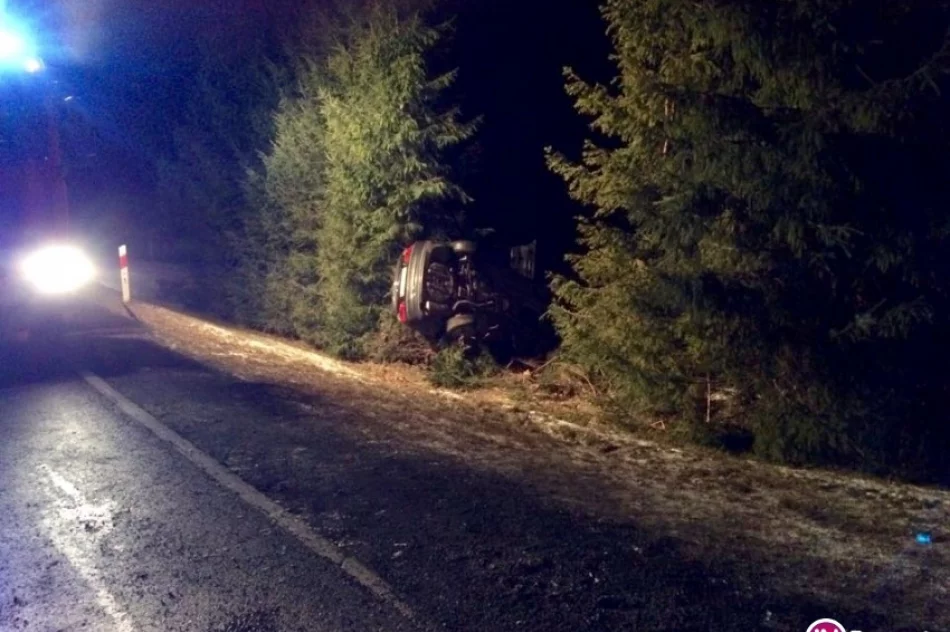 BMW zatrzymało się na drzewach - zdjęcie 2