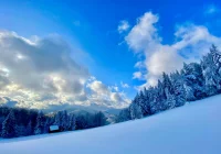 Ostrzeżenie przed silnym wiatrem - zdjęcie główne