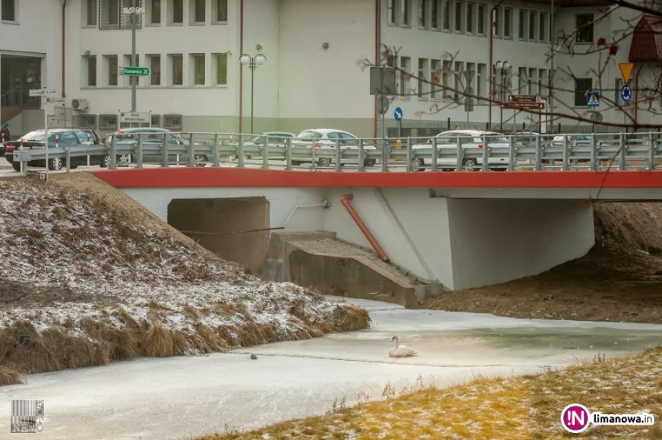 Służby wzywane na pomoc łabędziowi - proszą by nie dzwonić - zdjęcie 4