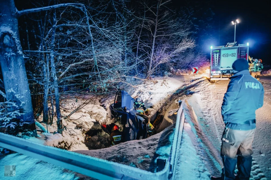 Samochód wjechał do przydrożnego rowu. Jedna osoba doznała obrażeń - zdjęcie 2