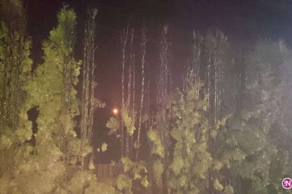 Koniec 2015 i początek 2016 roku pod znakiem pożarów - zdjęcie 2