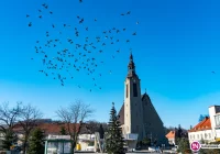 Kłopotliwy problem limanowskiego rynku. Będą kary? - zdjęcie główne