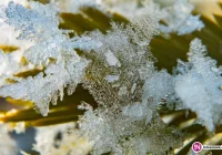 Wystarczy jeden telefon, by uratować komuś życie - zdjęcie główne