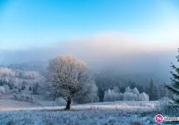 I stopień zagrożenia zanieczyszczeniem powietrza - zdjęcie główne