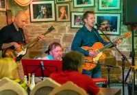 Szczepan Sollich & Elvis'56 - koncert w Muzycznym Folwarku | 2 lipca, godzina 20:00 - Mszana Dolna, Ogrodowa 2 - zdjęcie główne