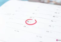 Zaplanuj z nami długi weekend w 2016 roku - zdjęcie główne