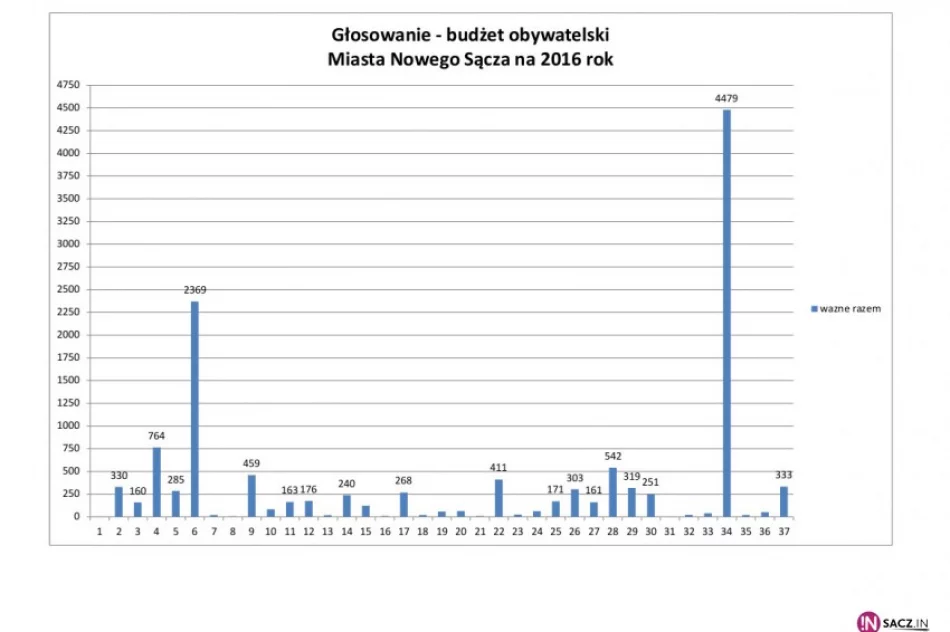 Wyniki budżetu obywatelskiego ogłoszone. Bez niespodzianek - zdjęcie 3
