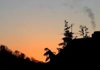 W Małopolsce 150 ekointerwencji w tydzień - zdjęcie główne