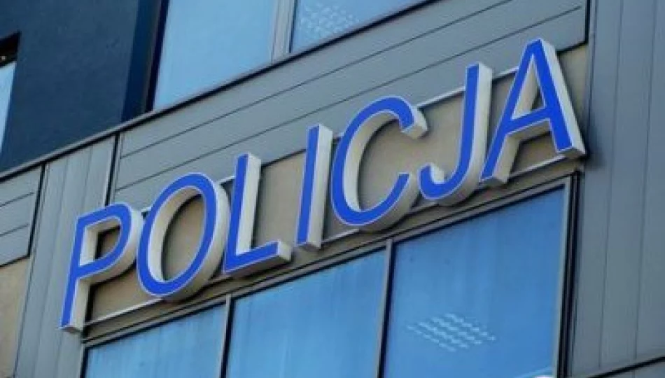 Raport sądeckiej policji: święta stosunkowo bezpieczne - zdjęcie 1