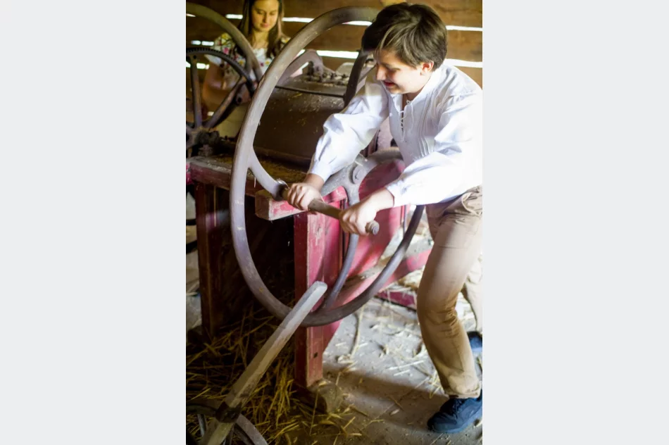 Zagroda Pod Brzeziną zaprasza - zdjęcie 4