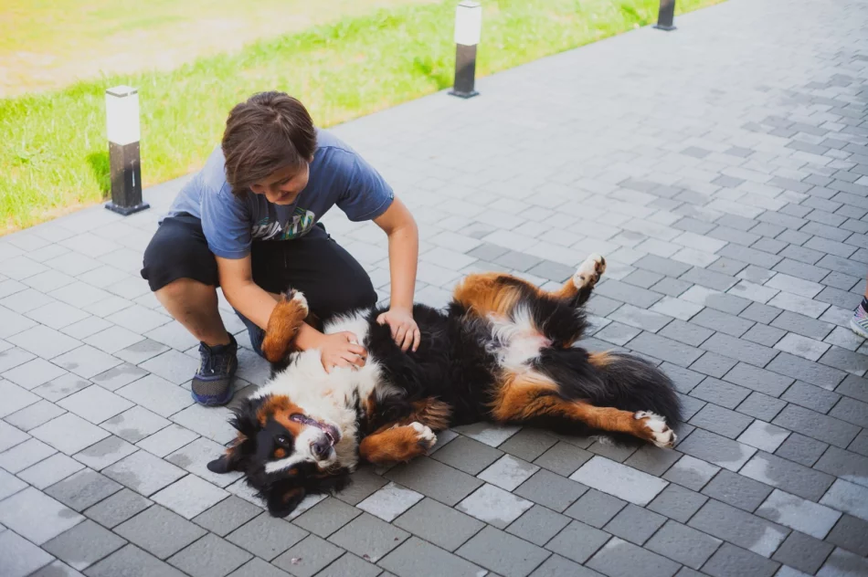 Zagroda Pod Brzeziną zaprasza - zdjęcie 20