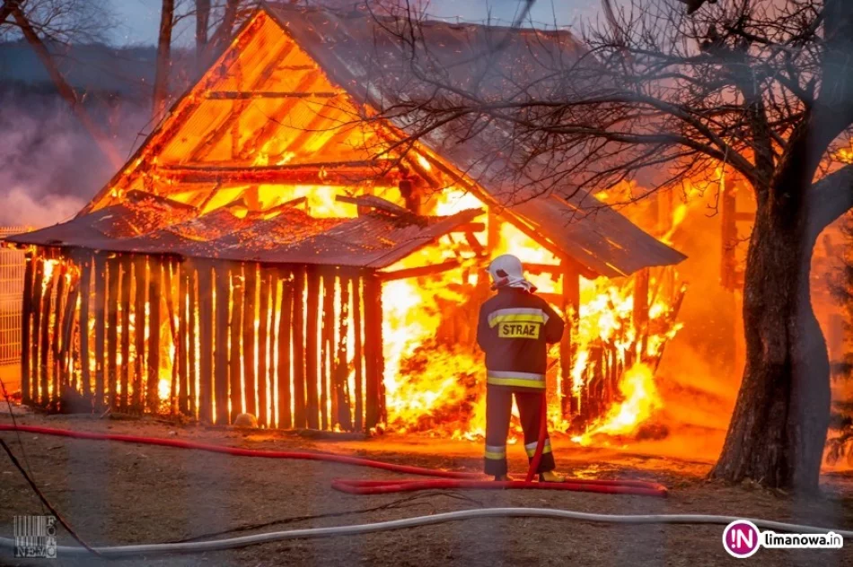 Przyczyny pożarów wciąż nieustalone. Pracują nad tym policjanci - zdjęcie 2