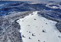 Ostrzeżenie przed bardzo silnym wiatrem - prędkość nawet 110 km/h - zdjęcie główne