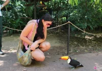 Feliz Natal*! Całkiem inne święta - zdjęcie główne