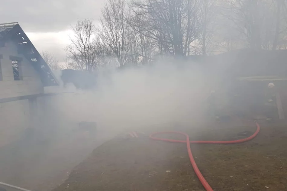 Spłonął kemping - 6 osób, w tym dzieci, zabrano do szpitala - zdjęcie 2