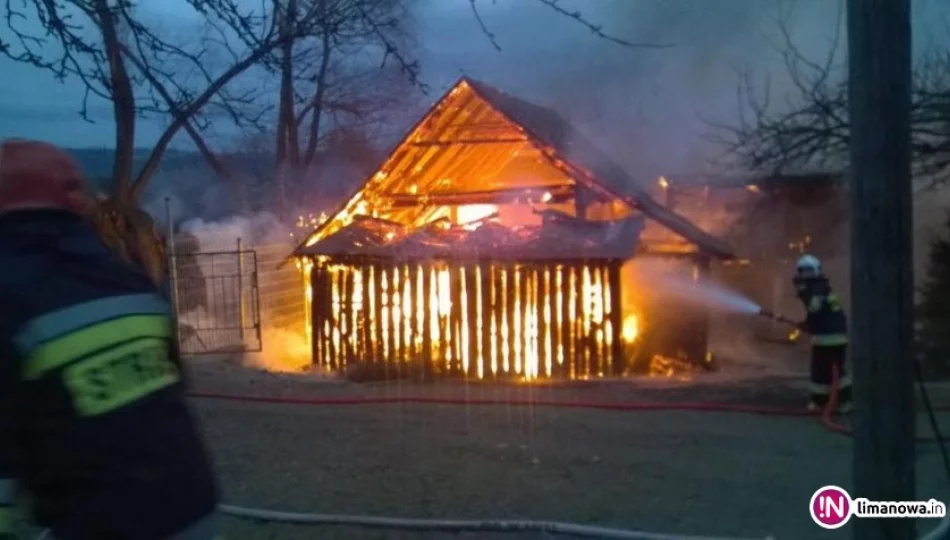 Pożar budynków gospodarczych, strażacy ratowali dom - zdjęcie 1