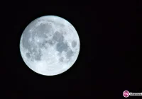 Bardzo jasne te Święta... Warto popatrzeć w niebo! - zdjęcie główne