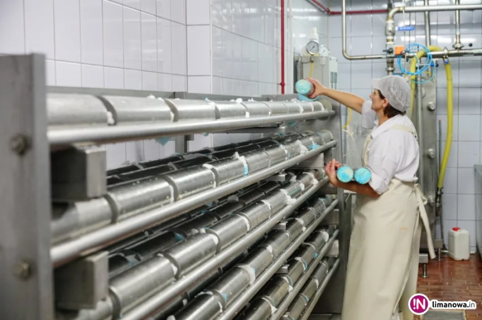 Twaróg OSM robi prawdziwą furorę! Rekordowa sprzedaż - zdjęcie 2