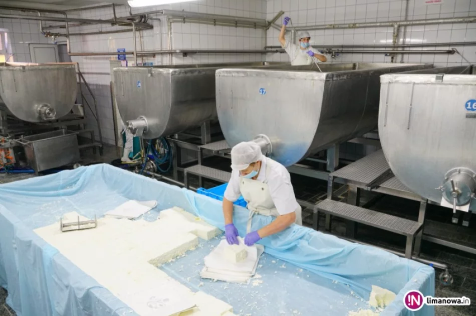 Twaróg OSM robi prawdziwą furorę! Rekordowa sprzedaż - zdjęcie 4