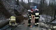 Powalone drzewa, uszkodzone dachy. Blisko 40 interwencji straży związanych z silnym wiatrem - zdjęcie 2