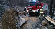Powalone drzewa, uszkodzone dachy. Blisko 40 interwencji straży związanych z silnym wiatrem - zdjęcie 3
