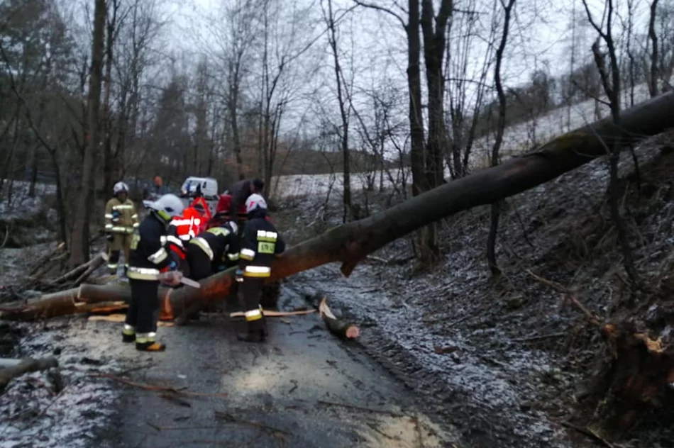 Powalone drzewa, uszkodzone dachy. Blisko 40 interwencji straży związanych z silnym wiatrem - zdjęcie 4