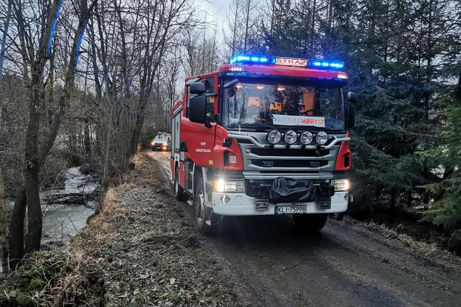 Powalone drzewa, uszkodzone dachy. Blisko 40 interwencji straży związanych z silnym wiatrem - zdjęcie 7