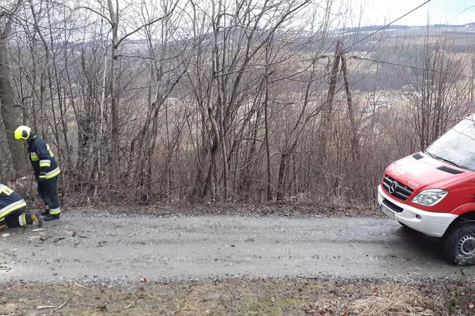 Powalone drzewa, uszkodzone dachy. Blisko 40 interwencji straży związanych z silnym wiatrem - zdjęcie 9