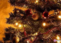 Różne Boże Narodzenie - zdjęcie główne