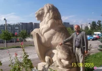 Powrót lwów - zdjęcie główne