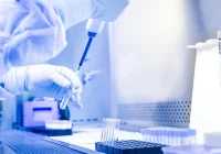 Ekspert: epidemia koronawirusa nie osiągnęła apogeum i dotrze do Polski - zdjęcie główne