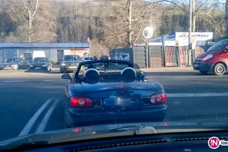 Na ulicach, parkingach i w sklepach... widać zbliżające się święta - zdjęcie 3