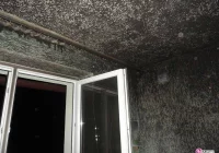 Pożar domu w Tyliczu - zdjęcie główne